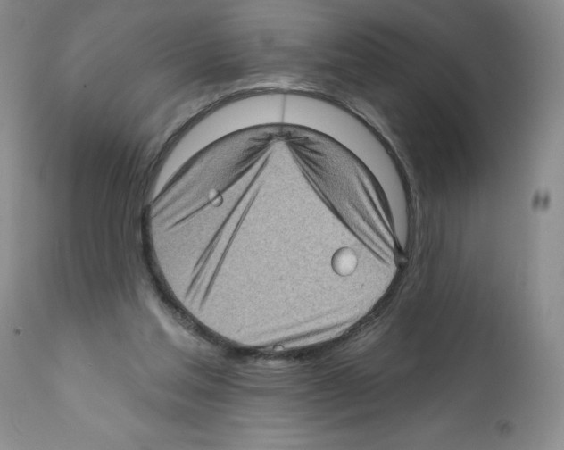 X0000112160205200909181455