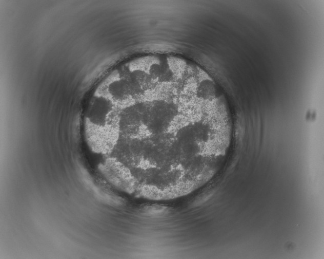 X0000112160206200909181455