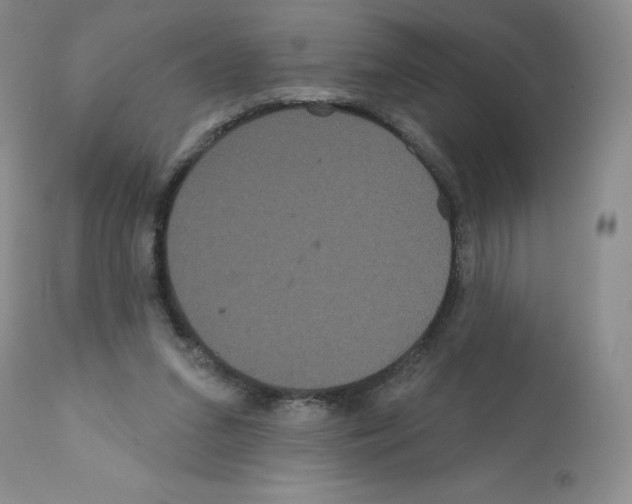 X0000112160207200909181455