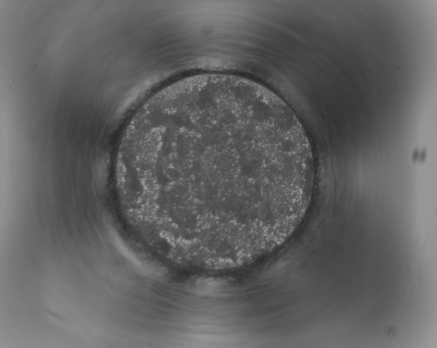 X0000112160208200909181455