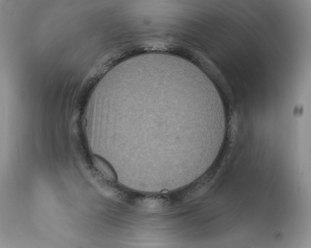 X0000112160209200909181455