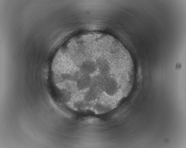 X0000112160210200909181455