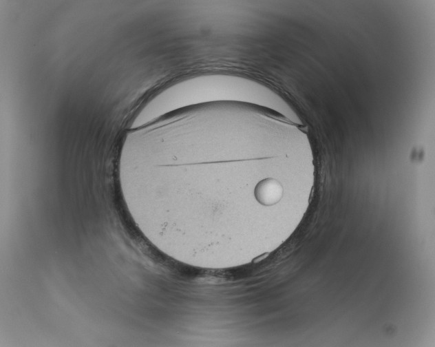 X0000112160211200909181455