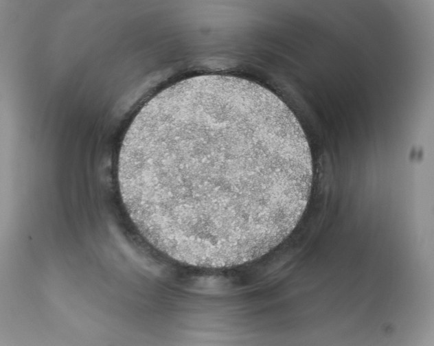 X0000112160212200909181455