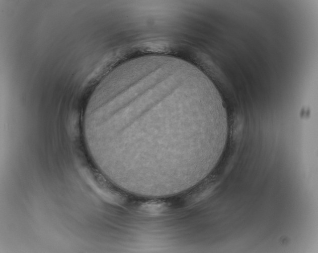 X0000112160213200909181455