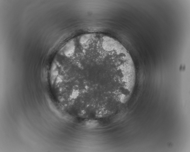 X0000112160214200909181455