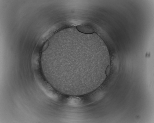 X0000112160215200909181455