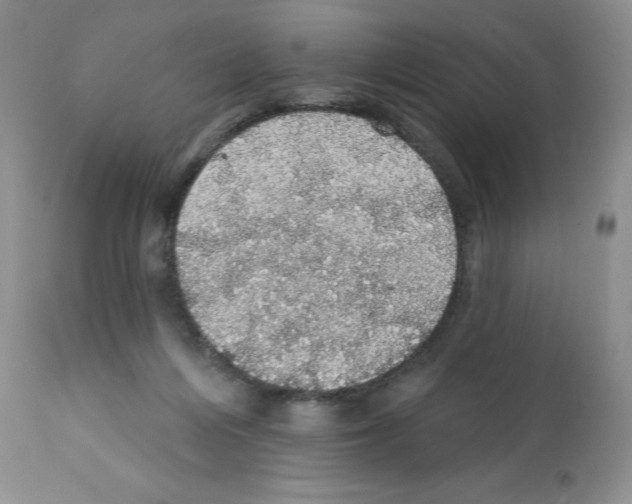 X0000112160216200909181455