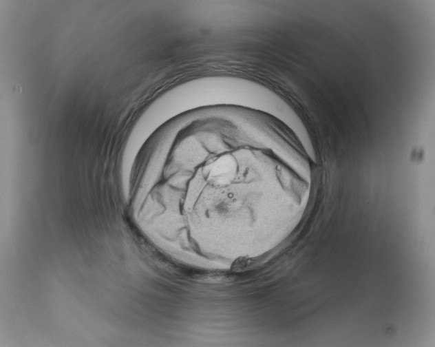 X0000112160217200909181455