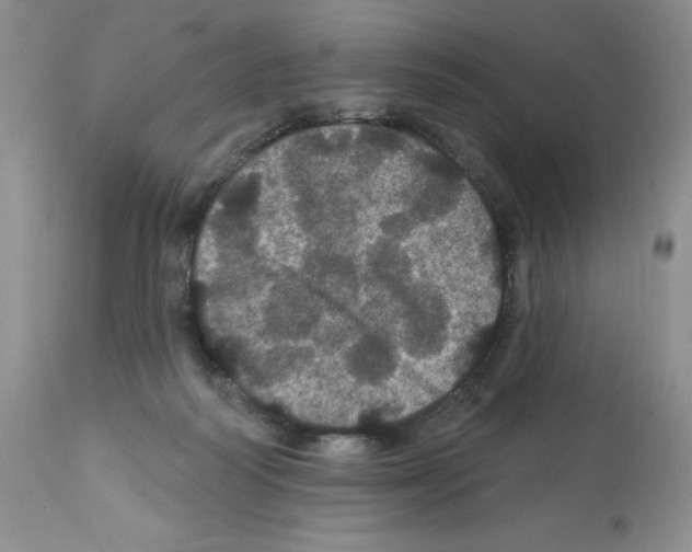 X0000112160218200909181455