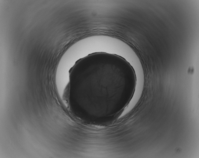 X0000112160219200909181455