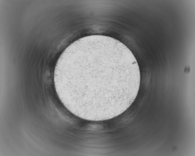 X0000112160220200909181455
