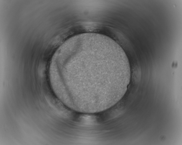 X0000112160221200909181455