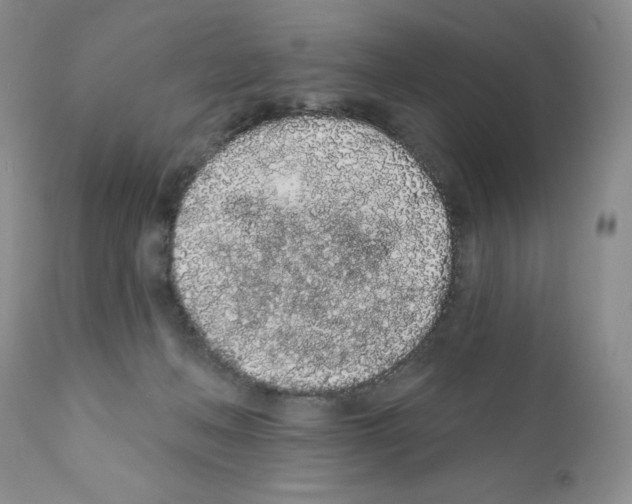 X0000112160222200909181455