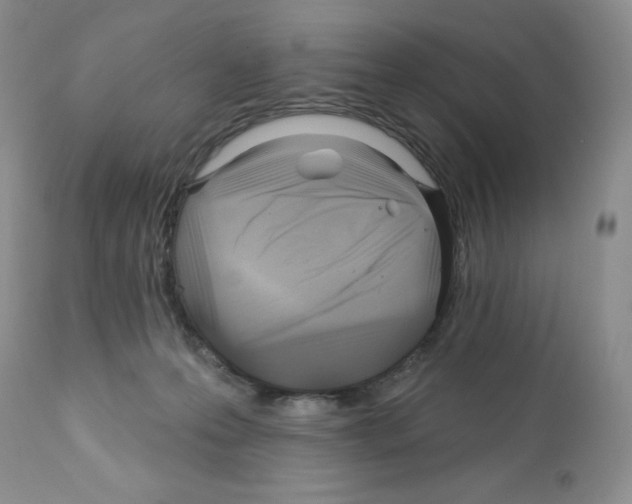 X0000112160223200909181455