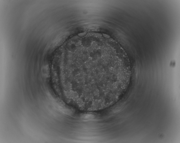 X0000112160224200909181455