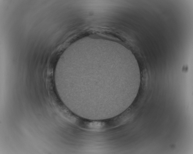 X0000112160225200909181455