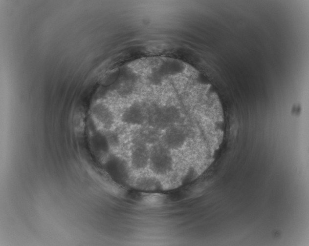 X0000112160226200909181455