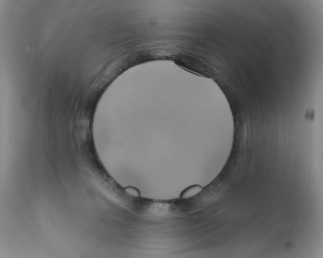 X0000112160227200909181455