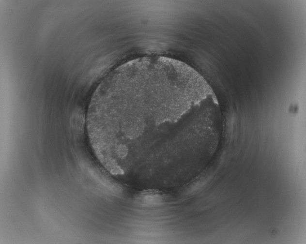 X0000112160228200909181455