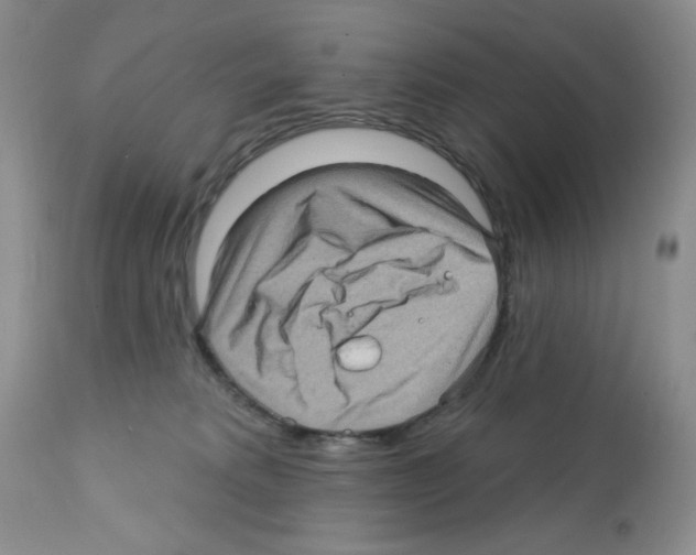 X0000112160229200909181455
