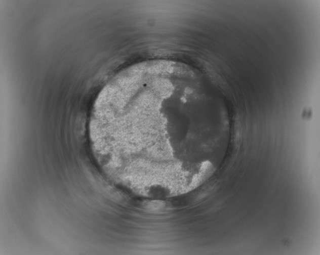 X0000112160230200909181455