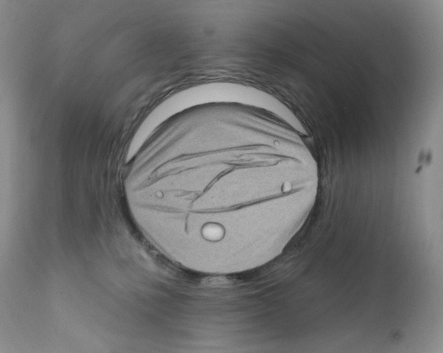 X0000112160231200909181455