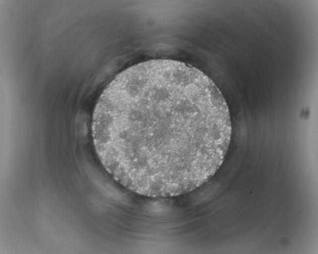 X0000112160232200909181455