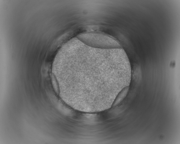 X0000112160233200909181455