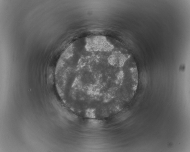 X0000112160234200909181455