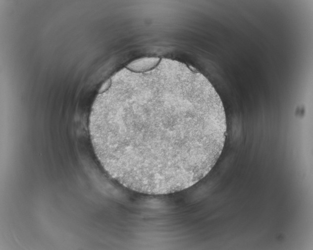 X0000112160236200909181455