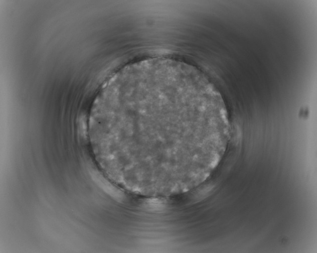 X0000112160238200909181455
