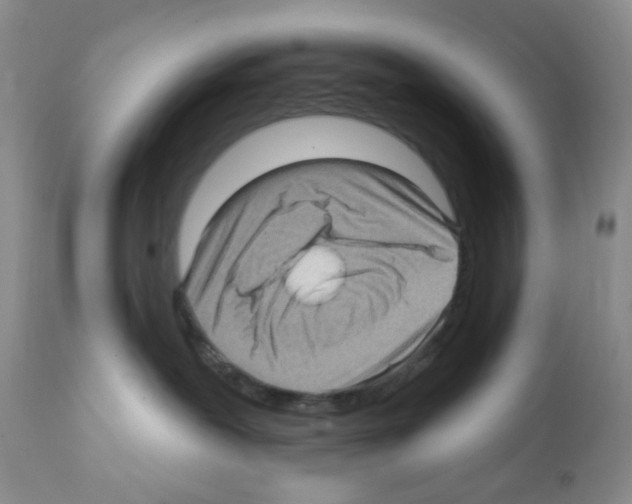 X0000112160239200909181455