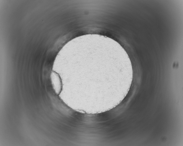 X0000112160240200909181455