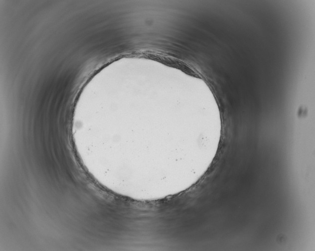 X0000112160241200909181454