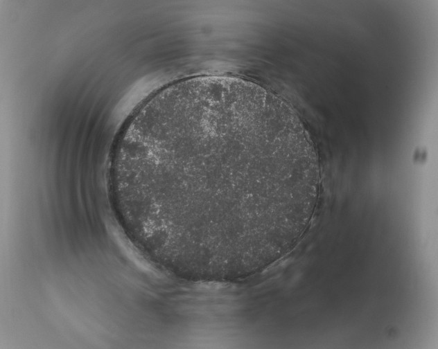 X0000112160242200909181454