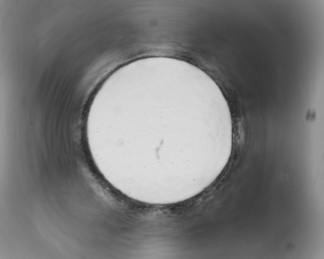 X0000112160243200909181454
