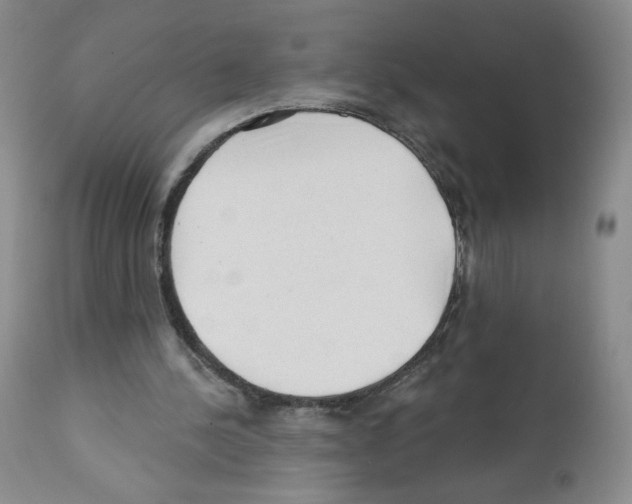 X0000112160244200909181454