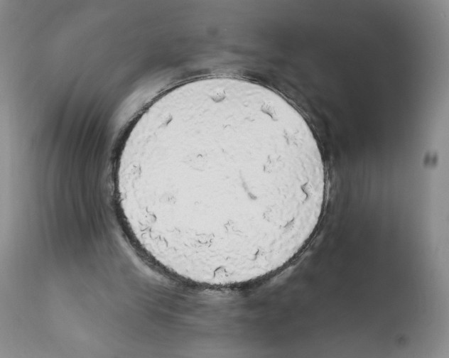 X0000112160245200909181454