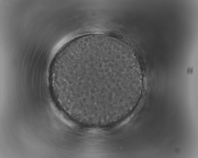 X0000112160246200909181454