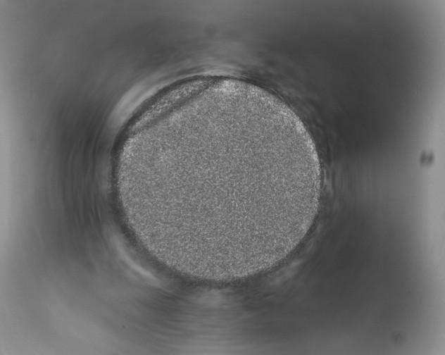 X0000112160247200909181454