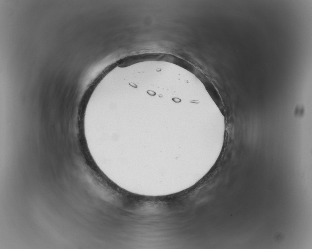 X0000112160248200909181454