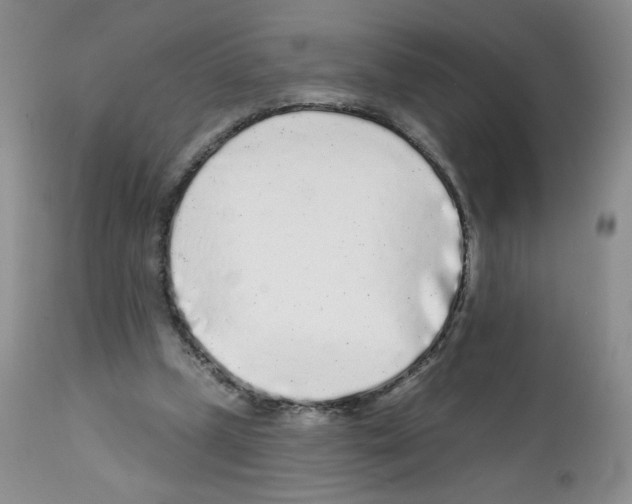 X0000112160249200909181454