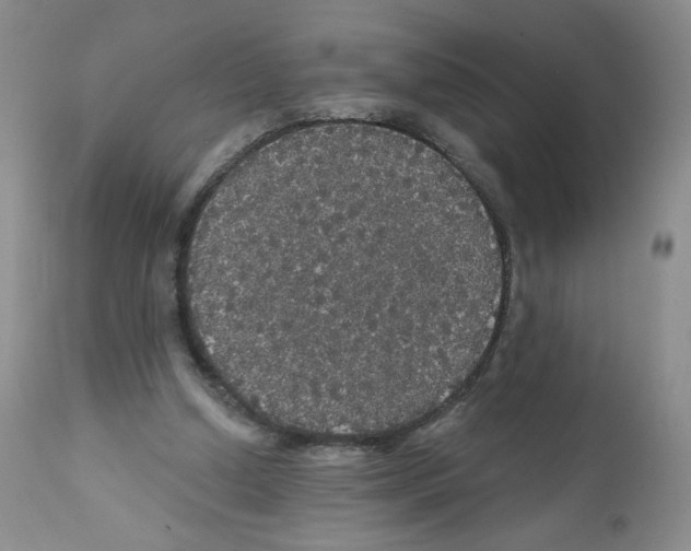 X0000112160250200909181454
