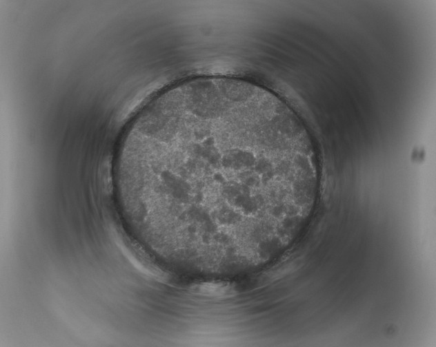 X0000112160251200909181454