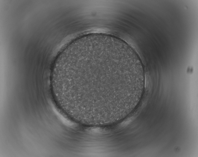 X0000112160253200909181454