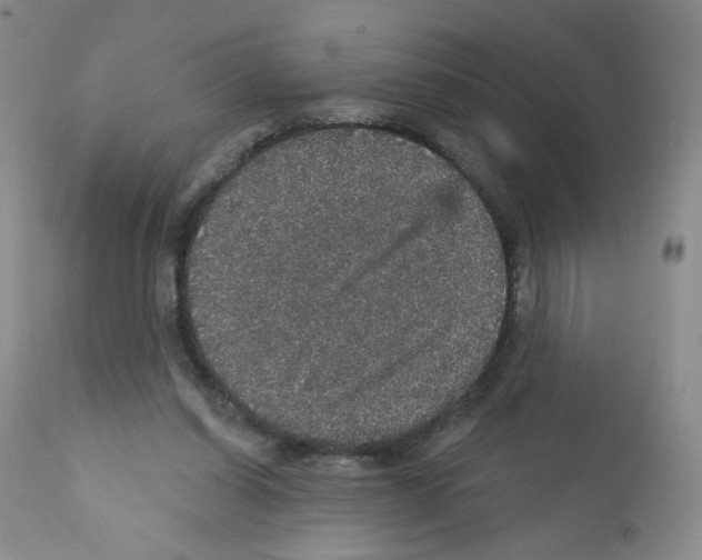 X0000112160254200909181454