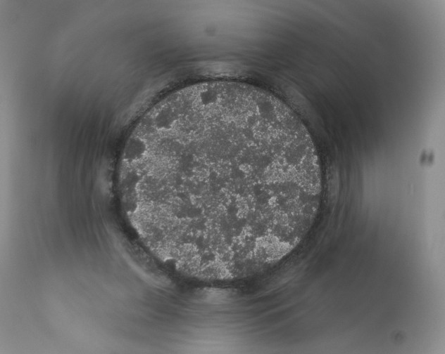 X0000112160255200909181454