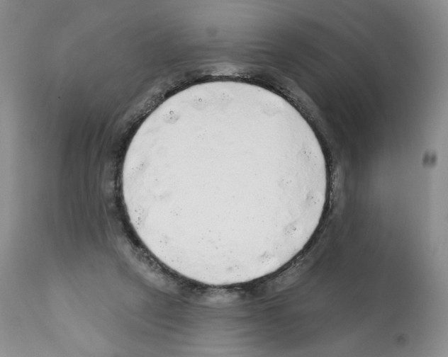 X0000112160257200909181454