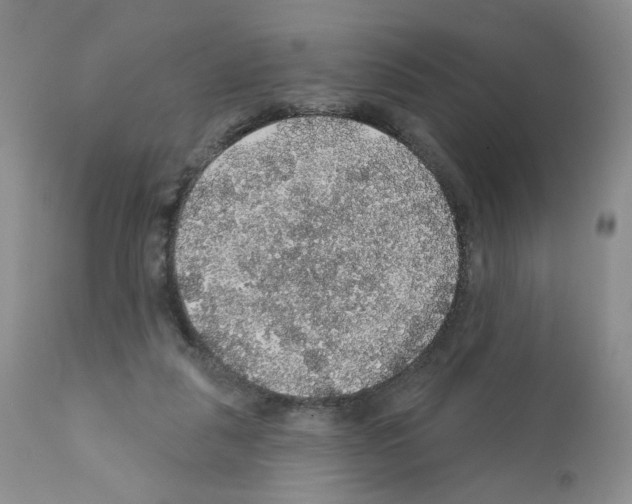 X0000112160259200909181454